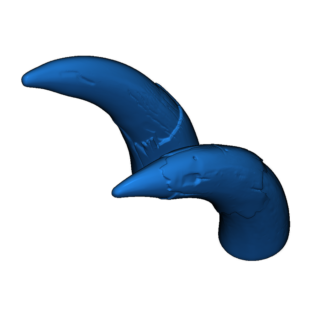 Модель черепа саблезубого тигра