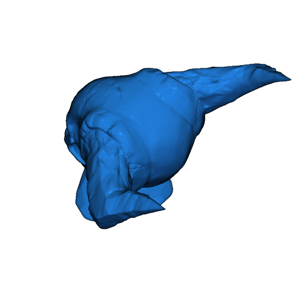 Череп с рогами