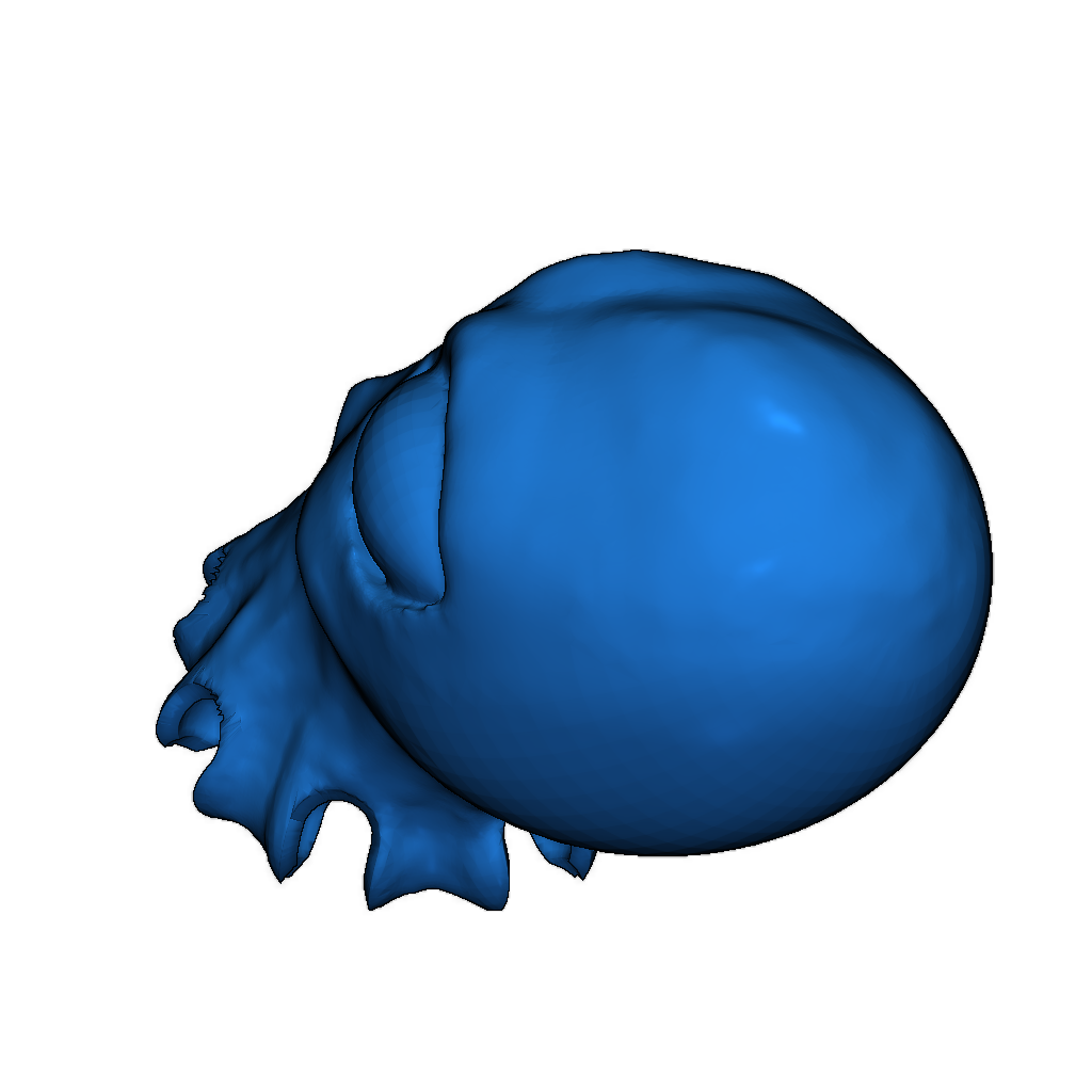 Октопус с подвижными щупальцами