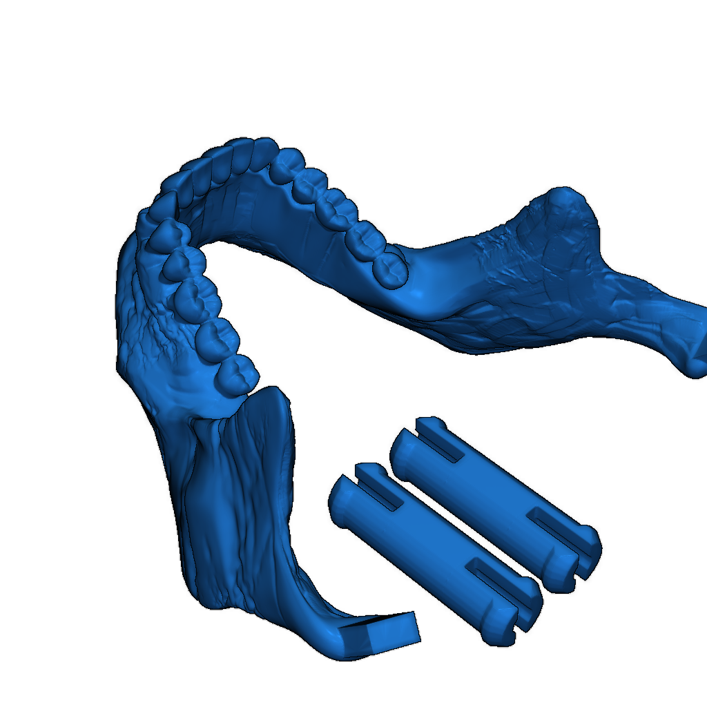 3D Модель Черепа
