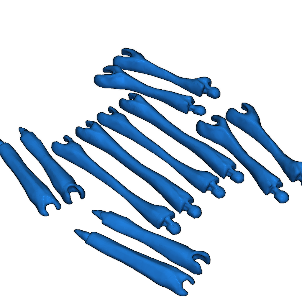 Модель чужого лицехвата