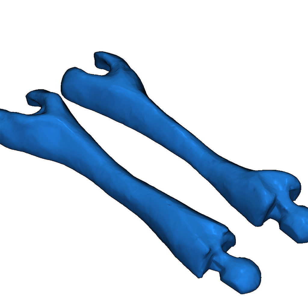 Модель чужого лицехвата