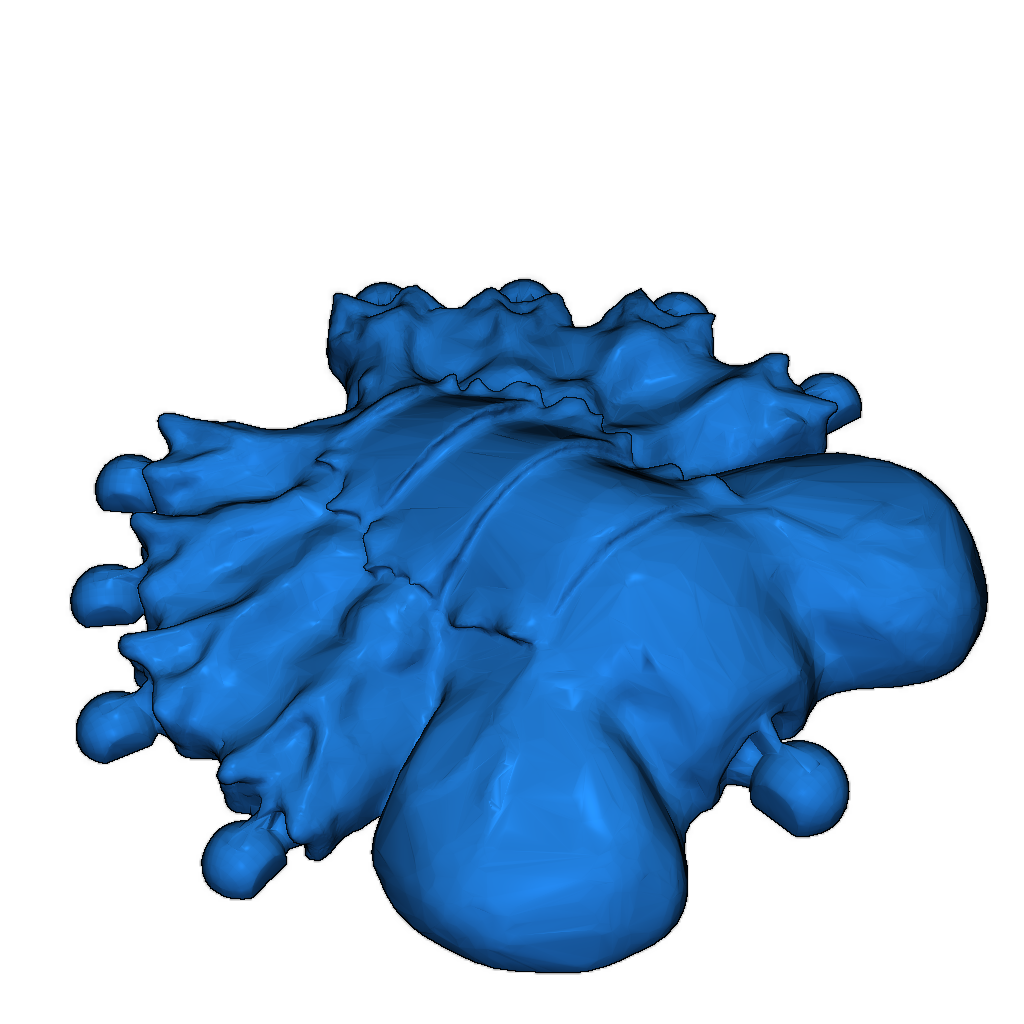 Модель чужого лицехвата