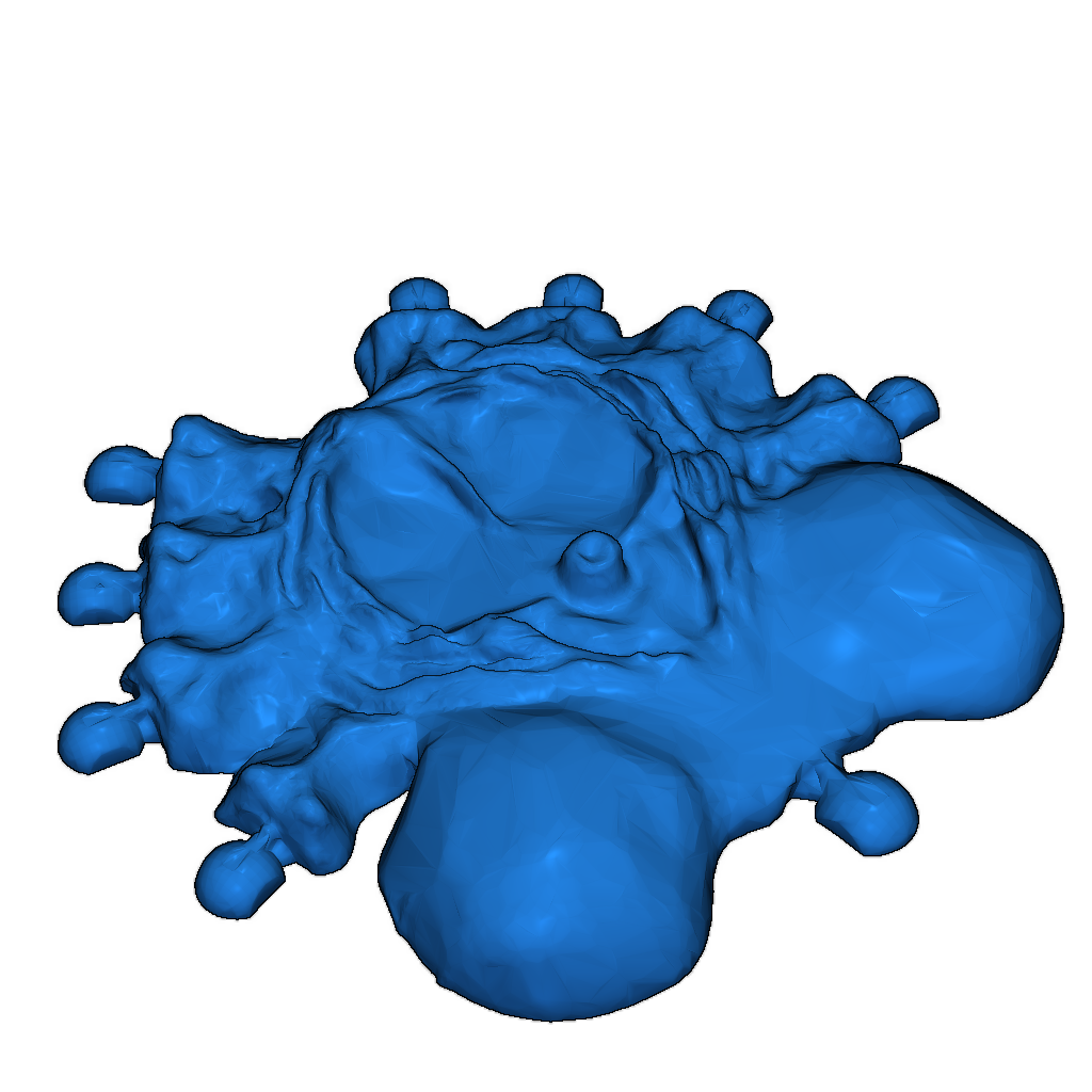 Модель чужого лицехвата