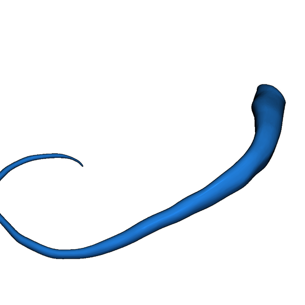 Дракон на мониторе