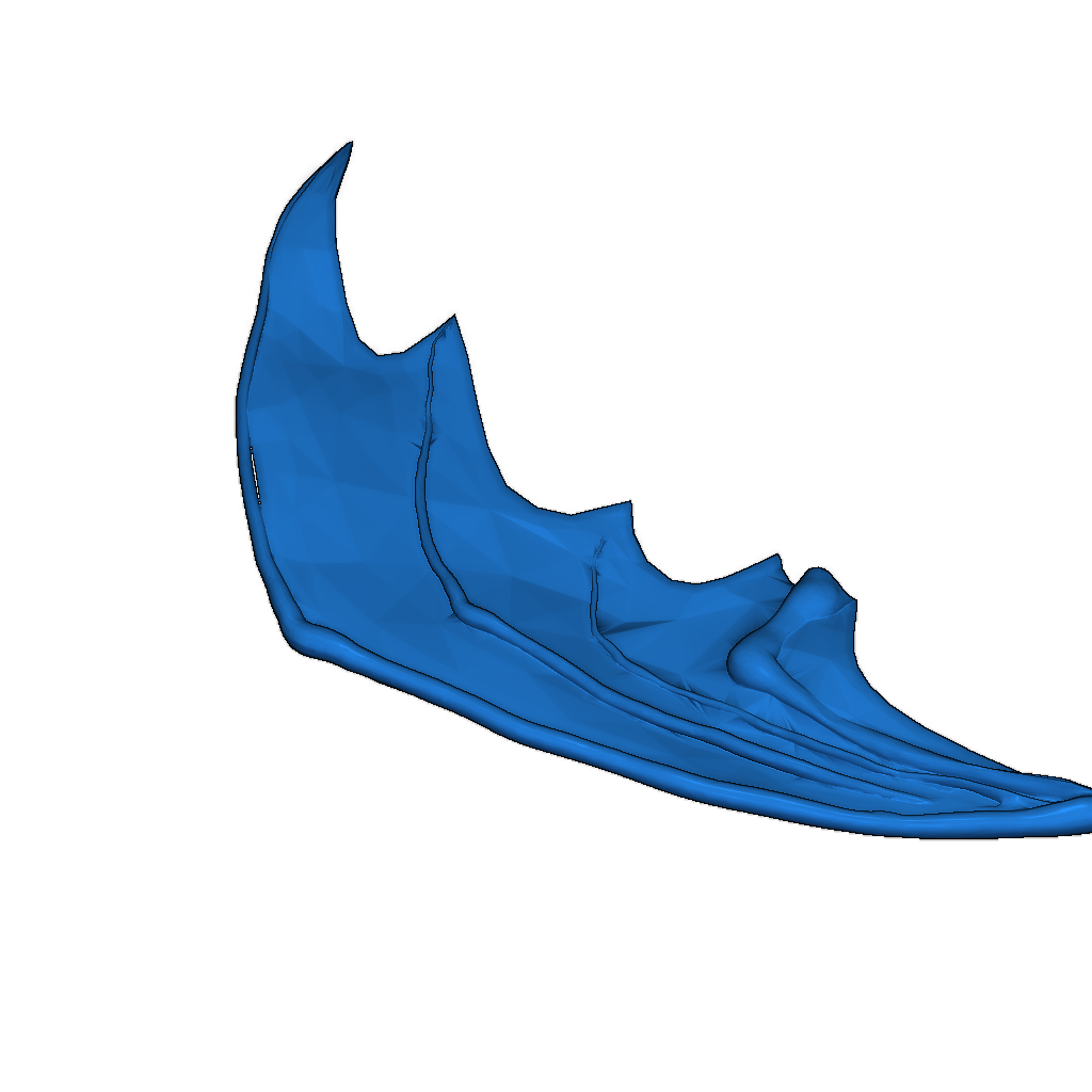 Дракон на мониторе