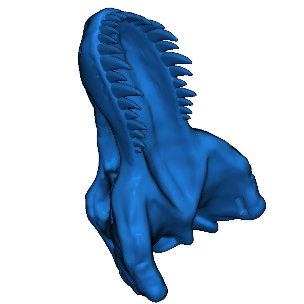 Скелет тираннозавра исправлен и доступен для печати