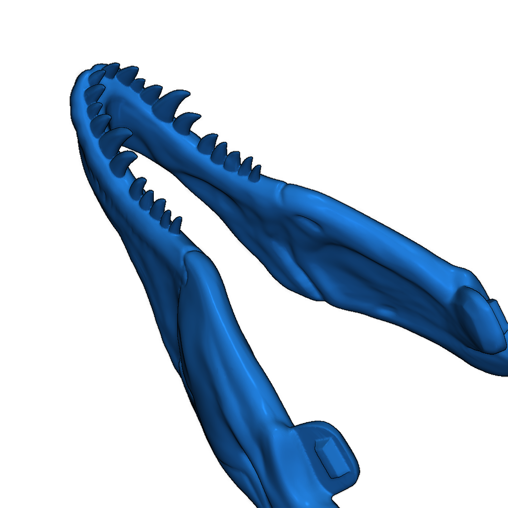 Скелет тираннозавра исправлен и доступен для печати