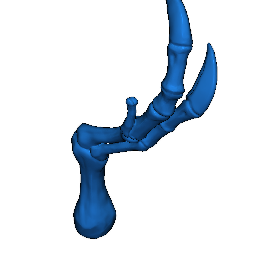 Скелет тираннозавра исправлен и доступен для печати