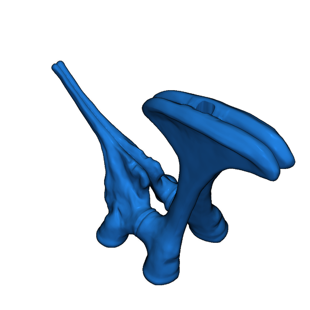 Скелет тираннозавра исправлен и доступен для печати