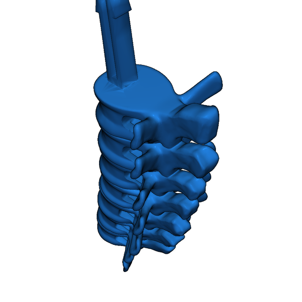 Скелет тираннозавра исправлен и доступен для печати
