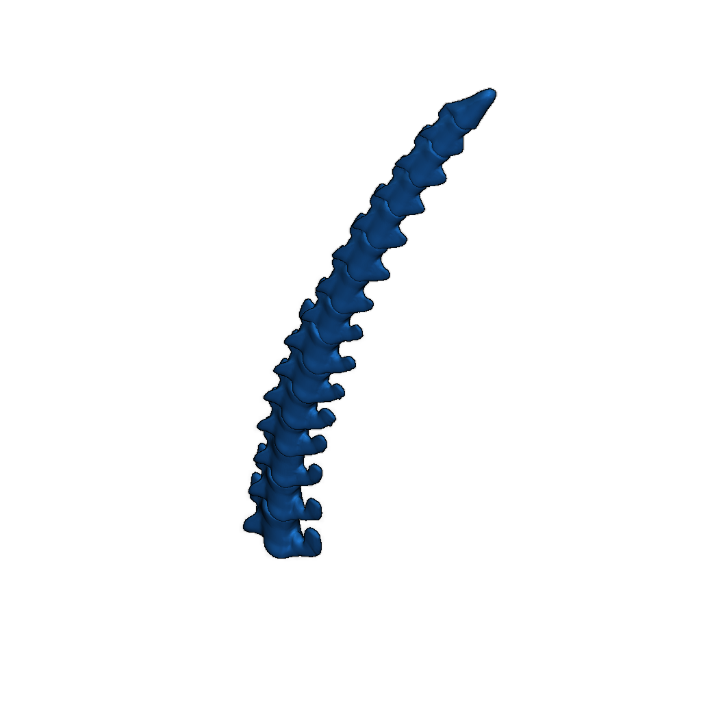 Скелет тираннозавра исправлен и доступен для печати