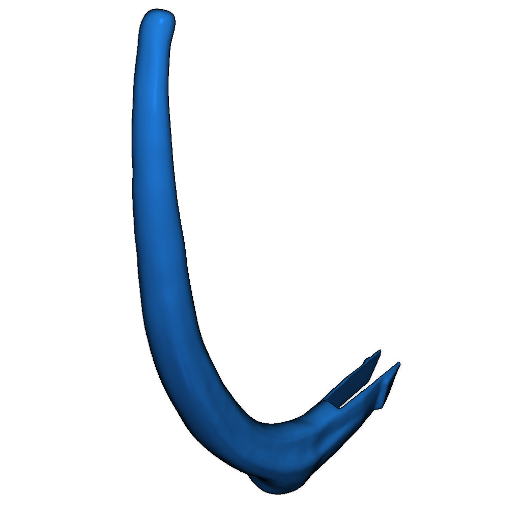 Скелет тираннозавра исправлен и доступен для печати