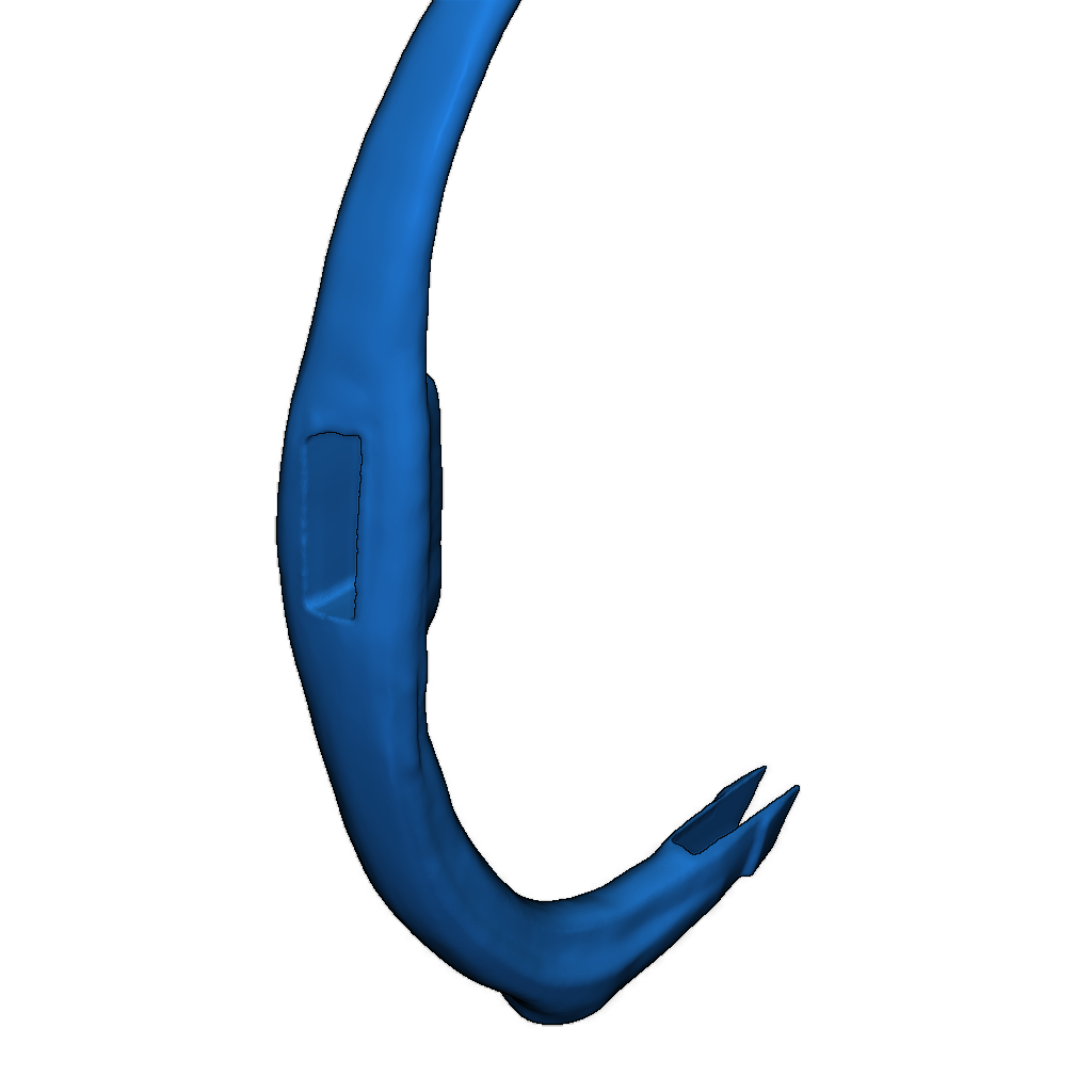 Скелет тираннозавра исправлен и доступен для печати