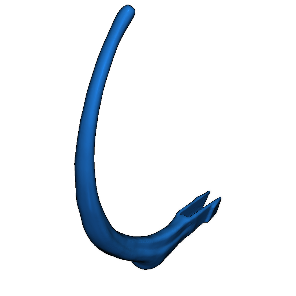 Скелет тираннозавра исправлен и доступен для печати