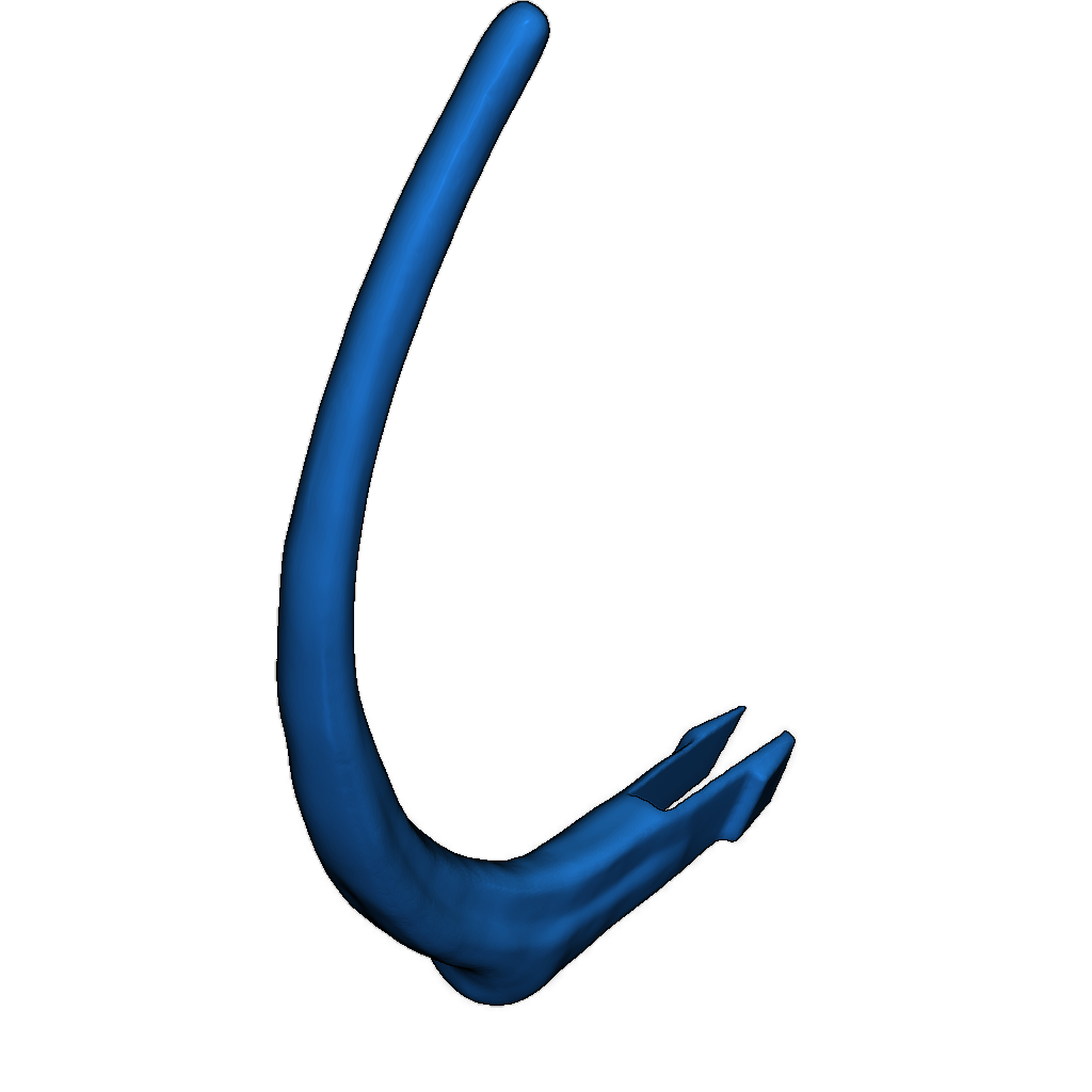 Скелет тираннозавра исправлен и доступен для печати