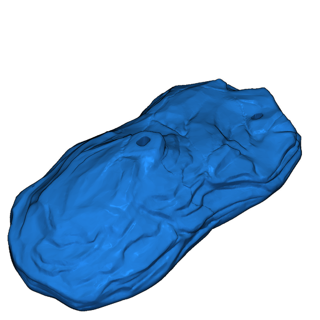 Скелет тираннозавра исправлен и доступен для печати