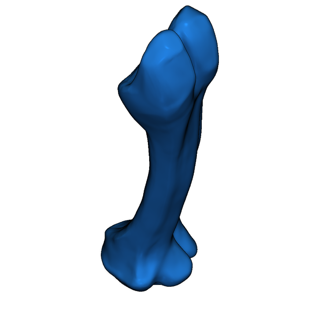 Скелет тираннозавра исправлен и доступен для печати