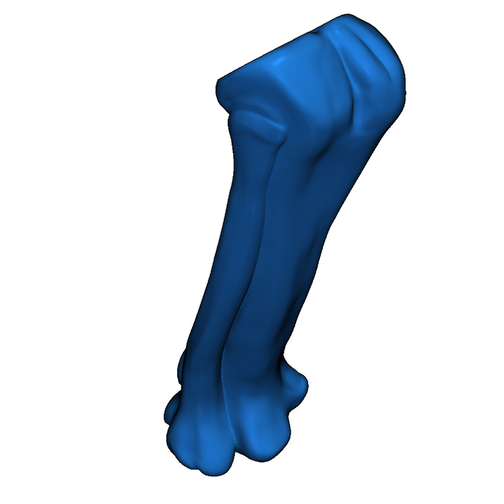 Скелет тираннозавра исправлен и доступен для печати