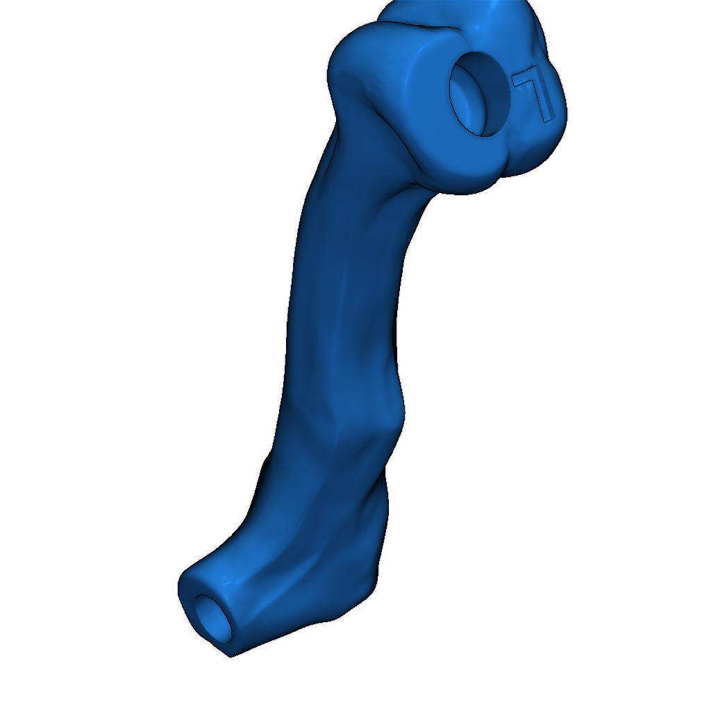 Скелет тираннозавра исправлен и доступен для печати