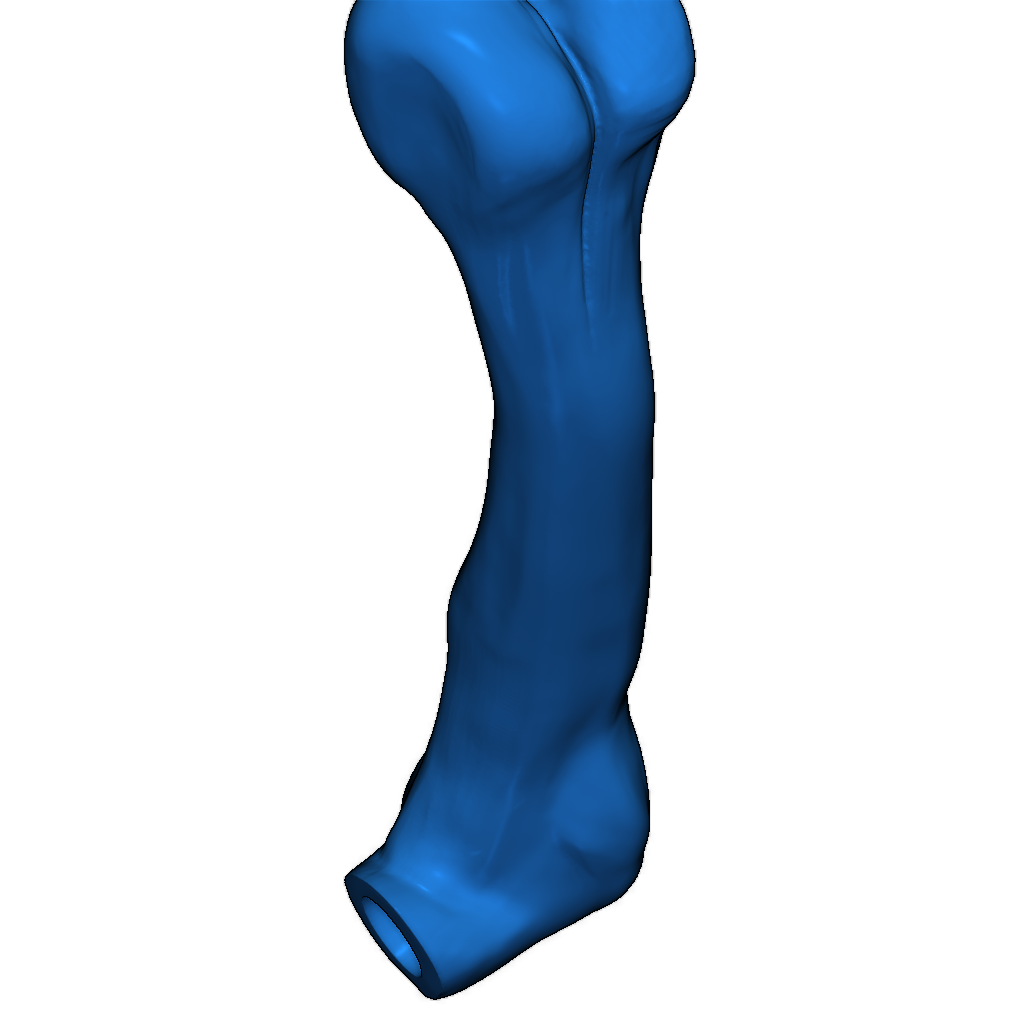 Скелет тираннозавра исправлен и доступен для печати