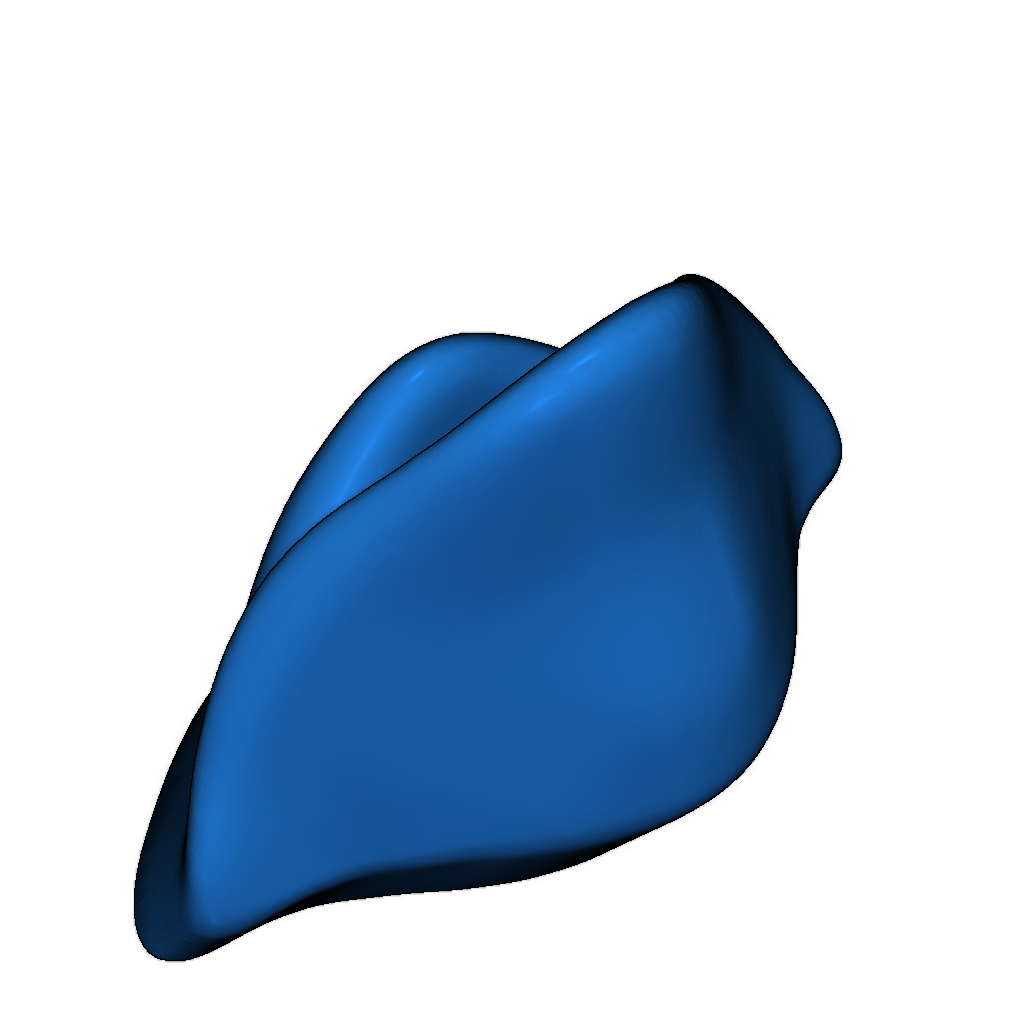 Модель игрушки: Tubby Duck (без поддержки)