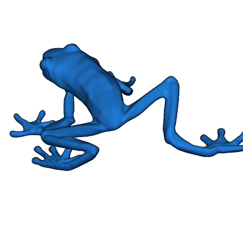 Красноглазая древесная лягушка (Agalychnis callidryas)