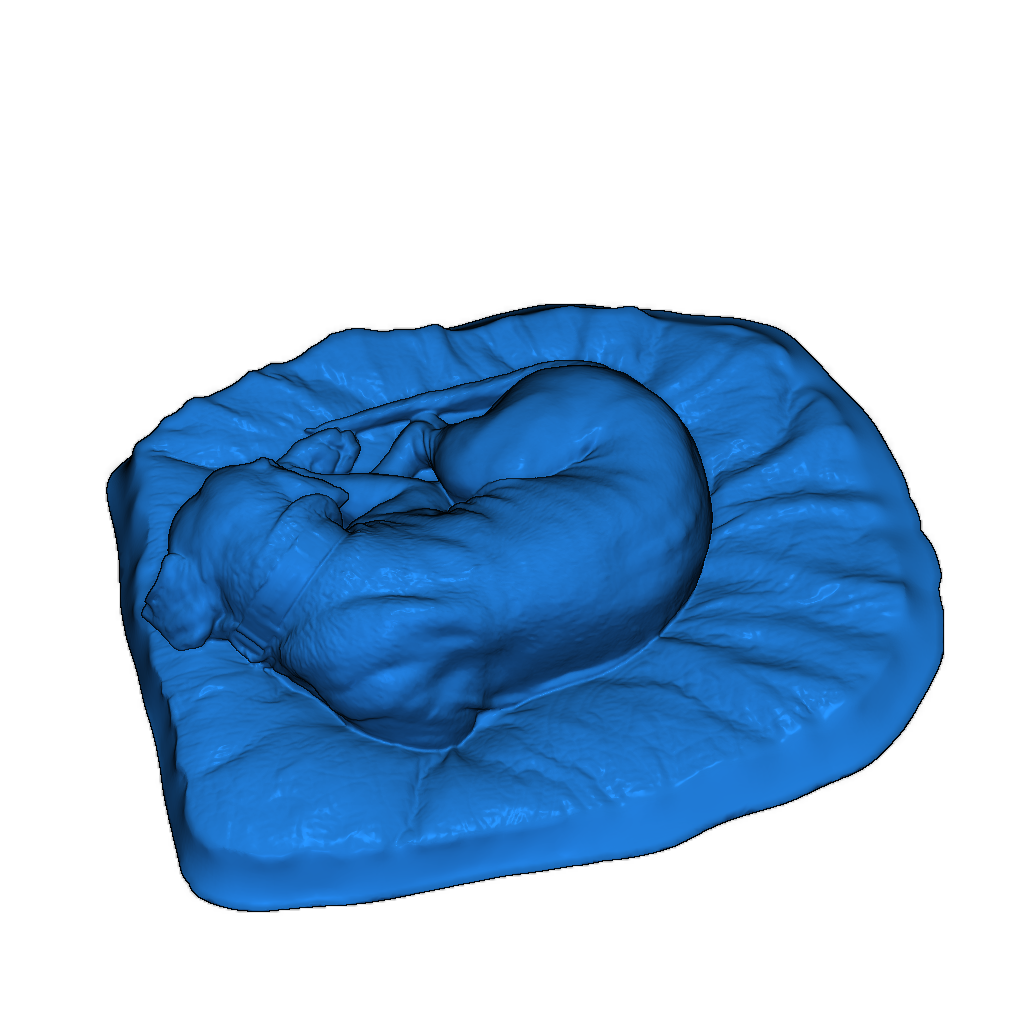 Собака, спящая на боку