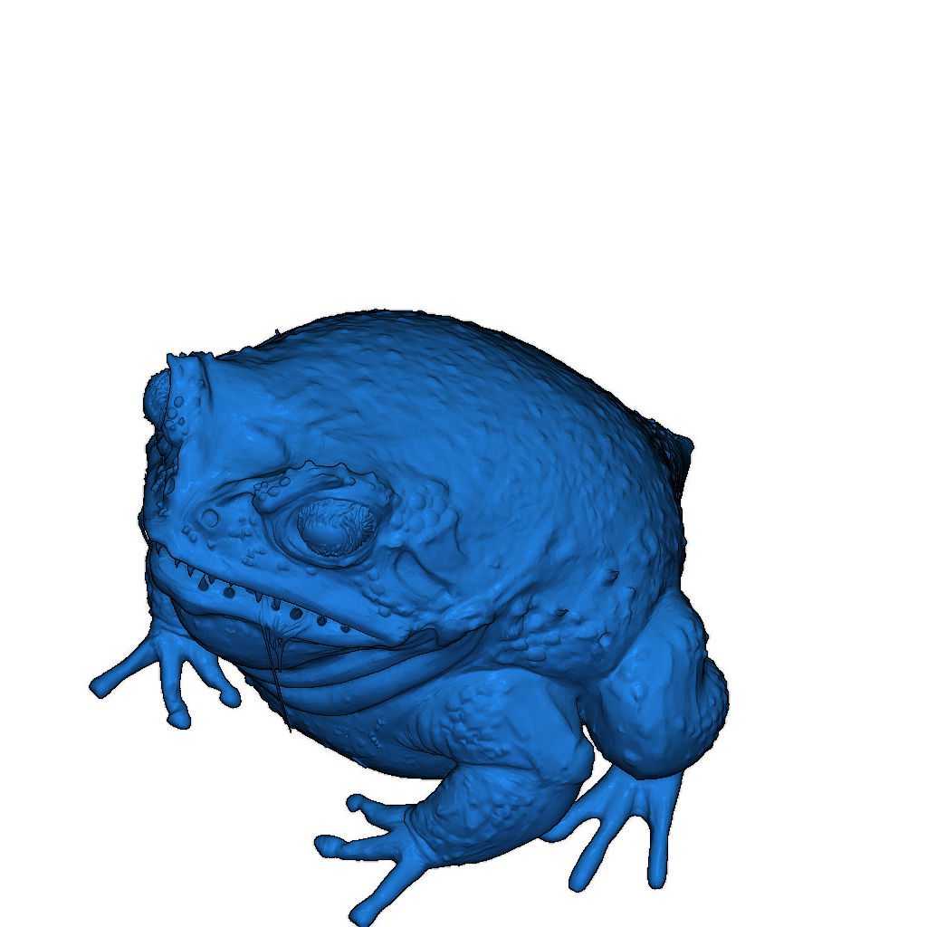 Тюнингованный лягушонок Coda - питомец из The Mire