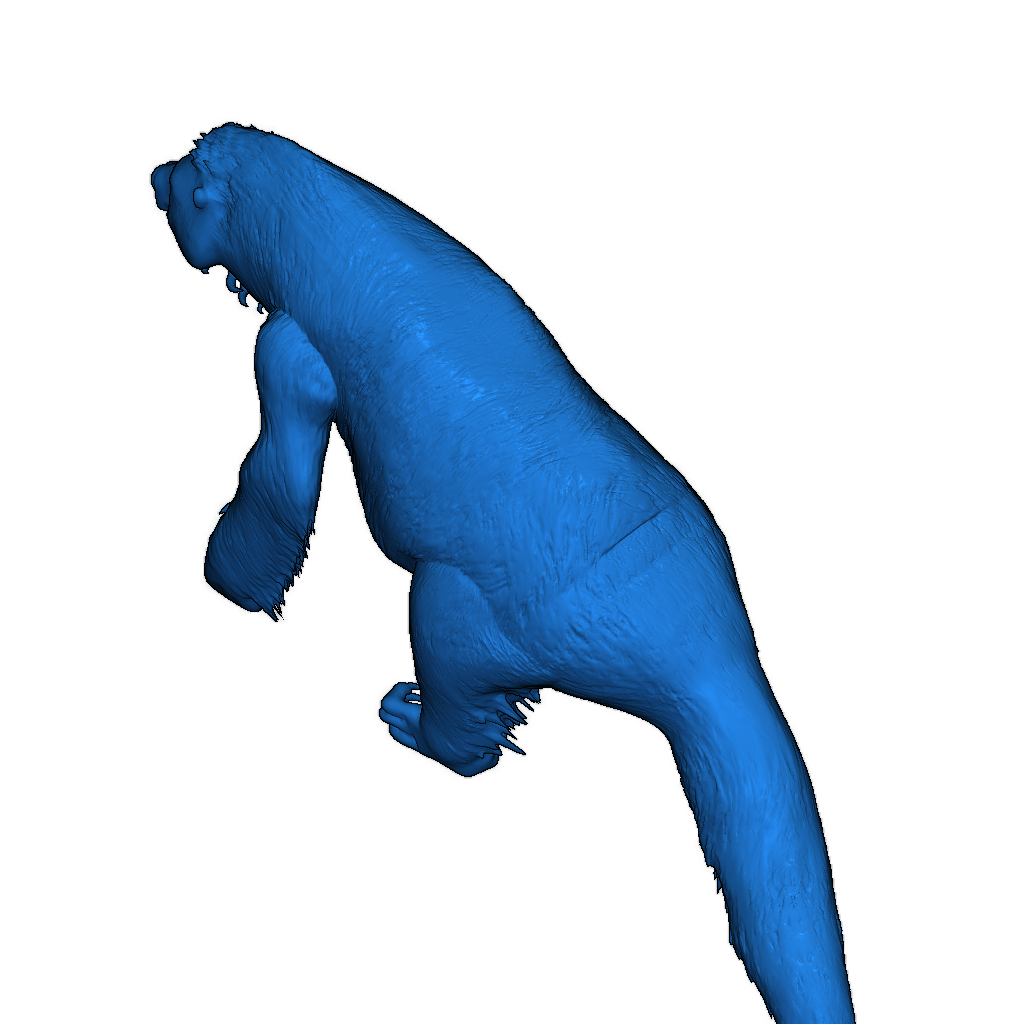 Модель медведя-ленивца Kaimeran