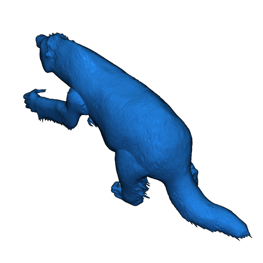 Модель медведя-ленивца Kaimeran