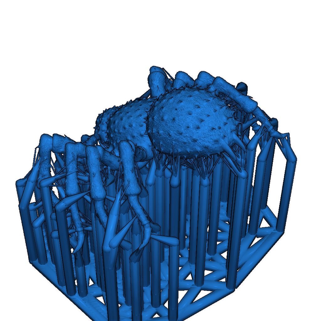 Охотничий паук