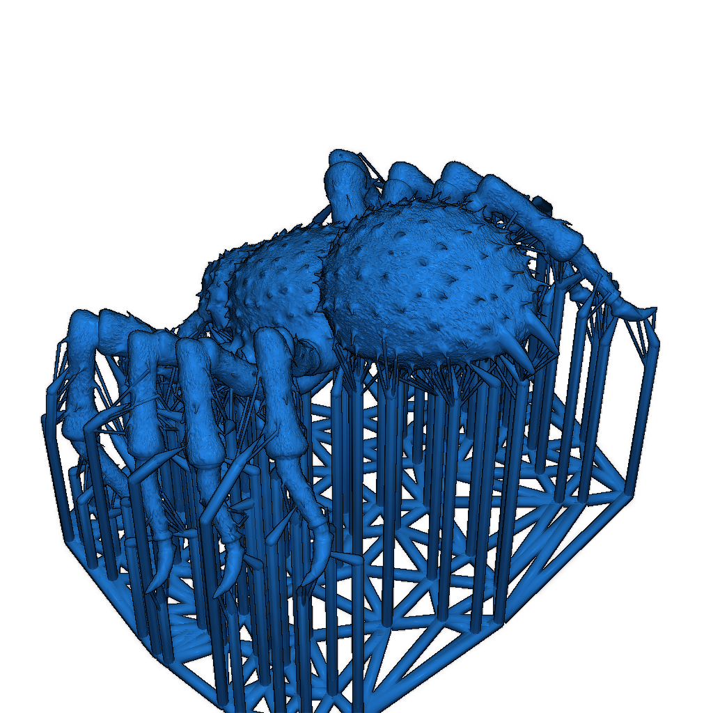 Охотничий паук
