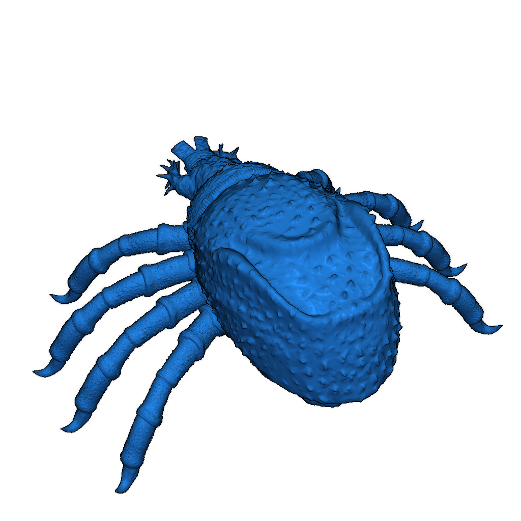 Гигантский клещ – 3D модель для ролевых игр