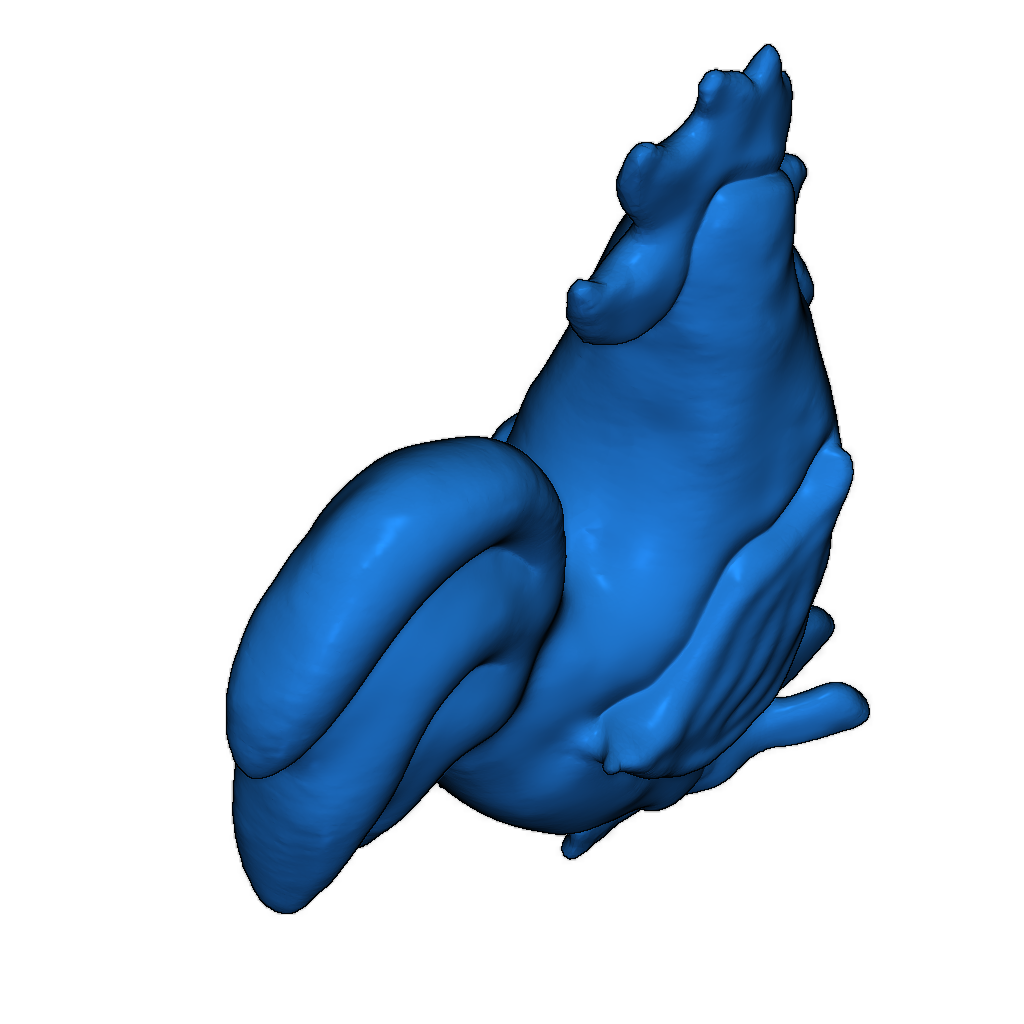 3D модель Петуха