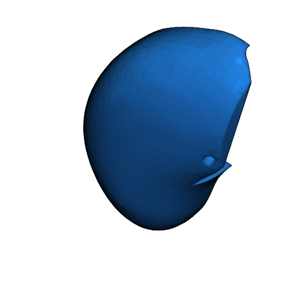 Нос Сквидварда и бровь Сквиллиама