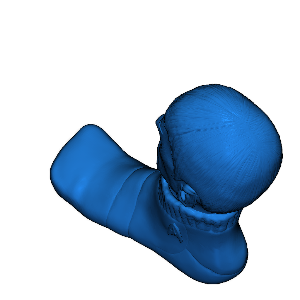 Спок в носке