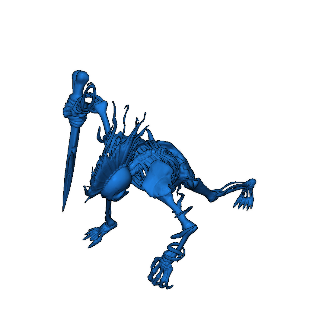 Скелет Аниме - Ковен Витч