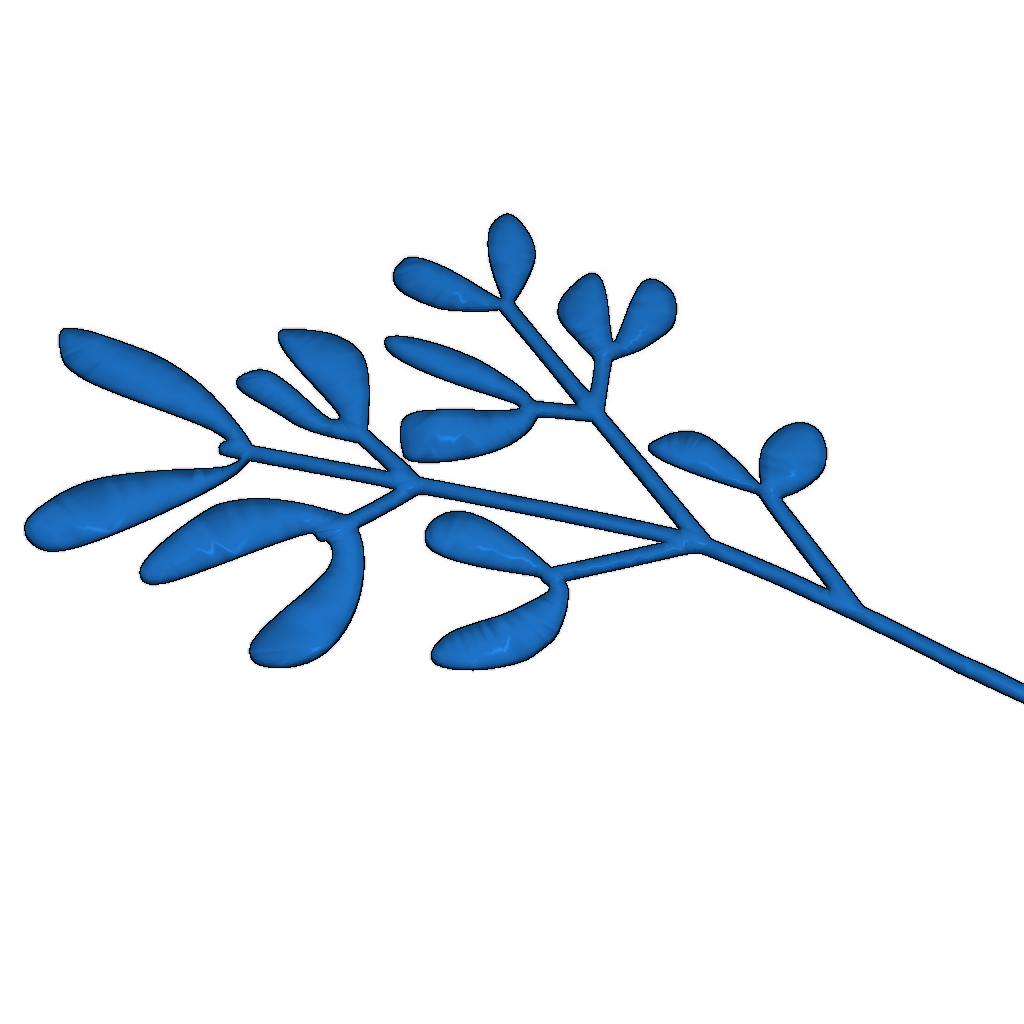 Модель омелы