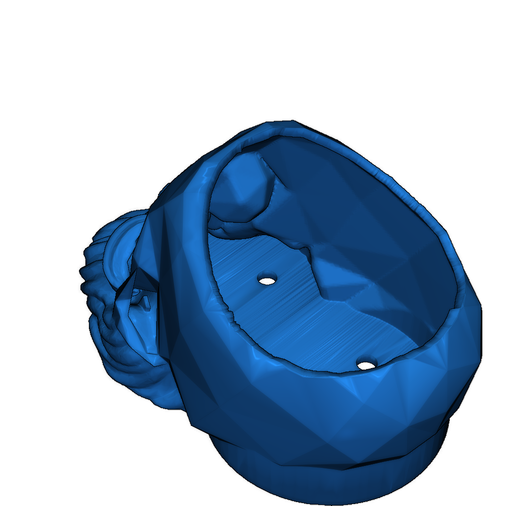 Кашпо в виде черепа с бородой