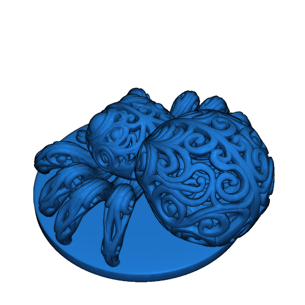 Изящный паук