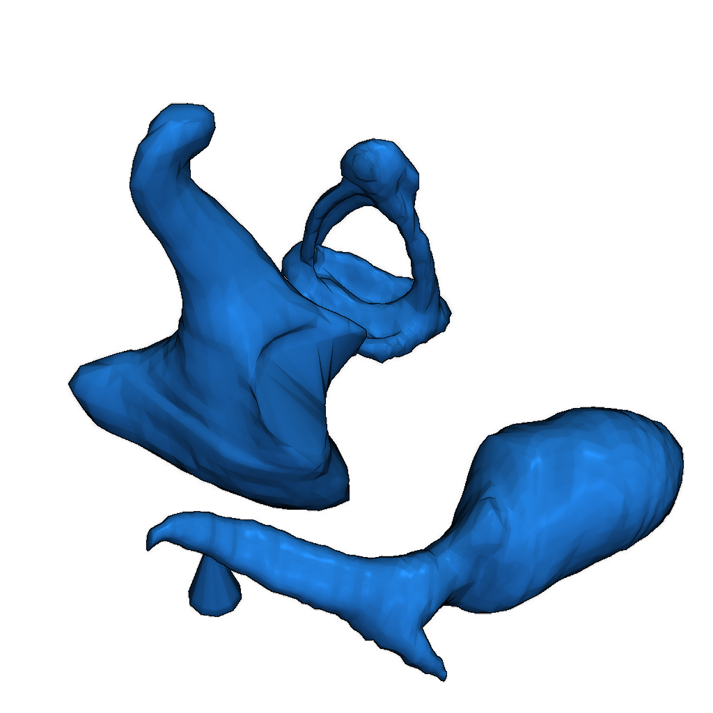 Анатомически точные слуховые кости человека