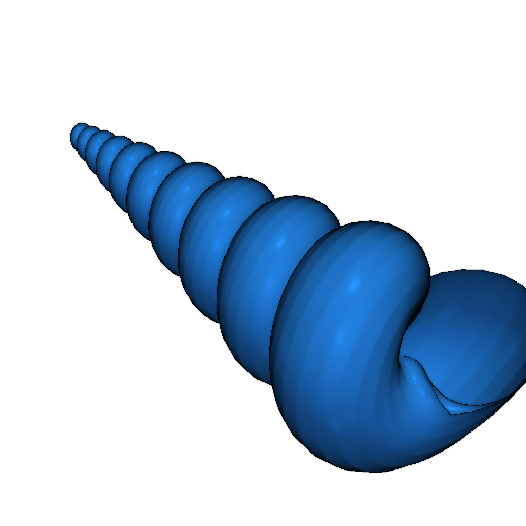 3D модель раковины Turritella