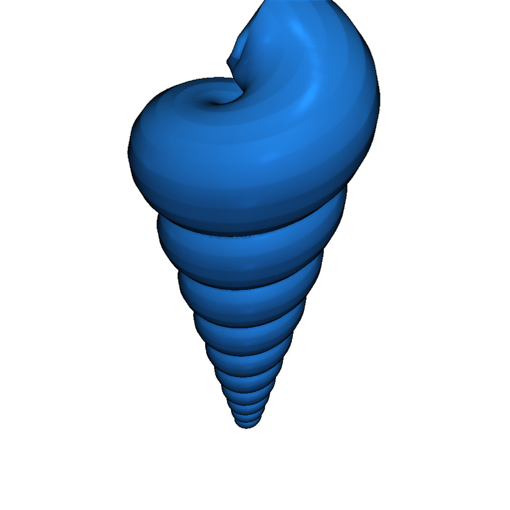 3D модель раковины Turritella