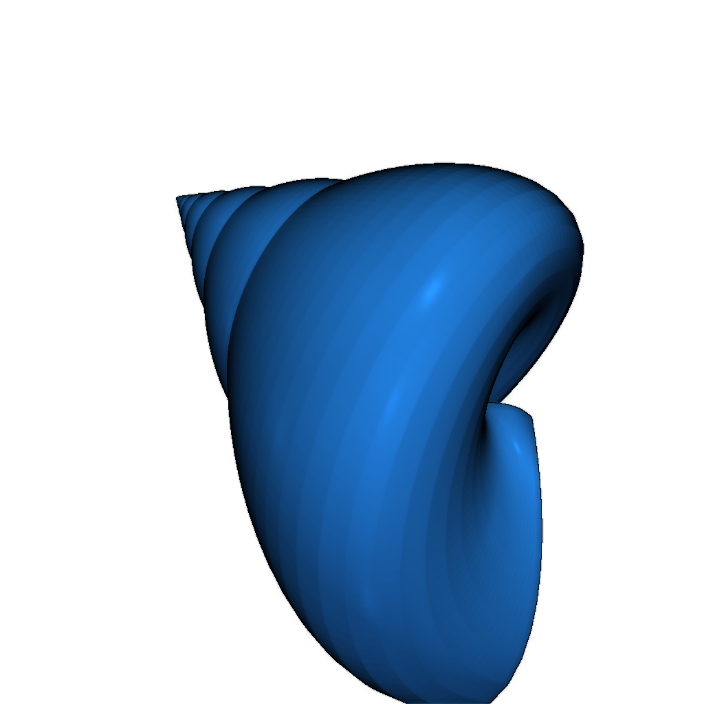 3D модель ракушки Oxystele sinensis