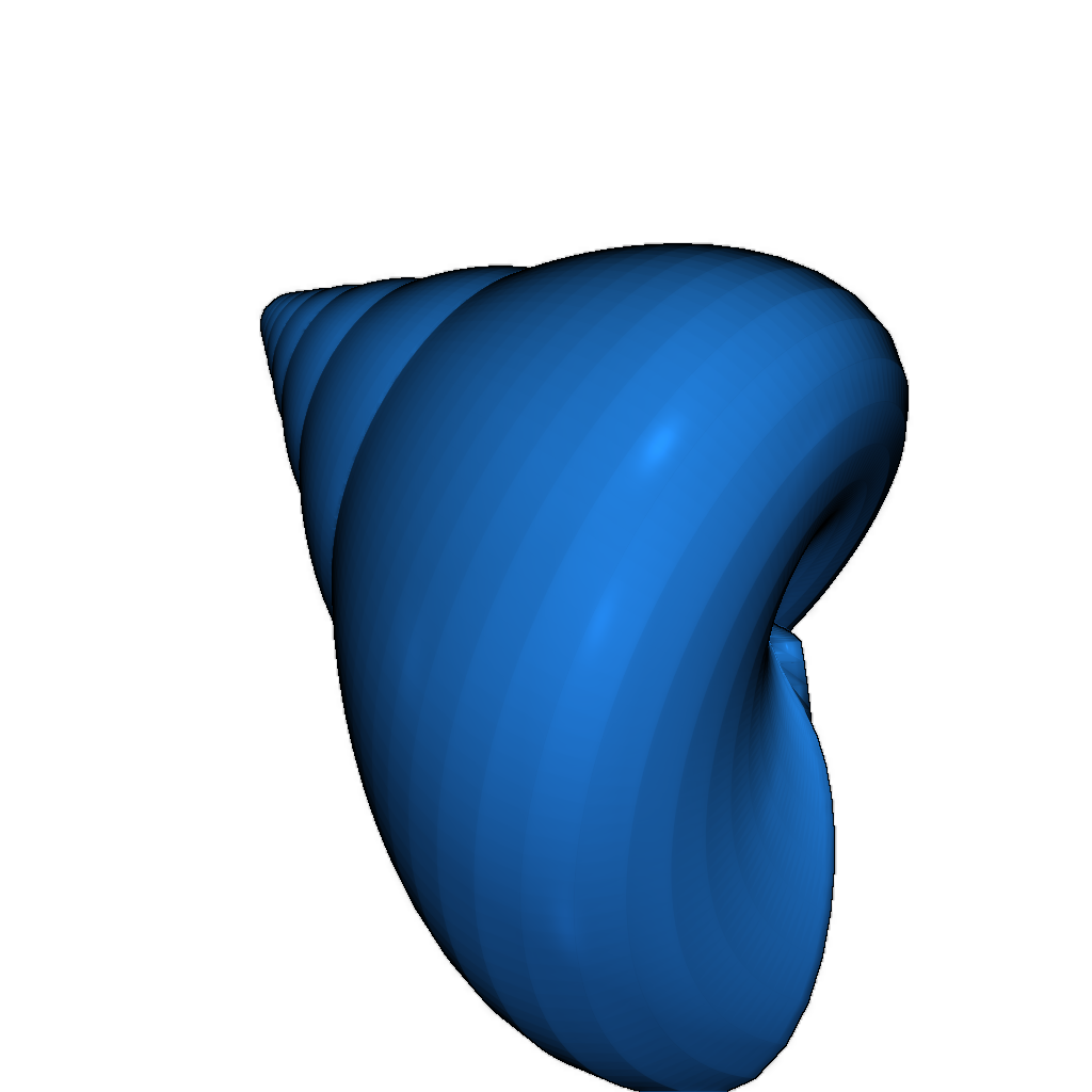 3D модель ракушки Oxystele sinensis