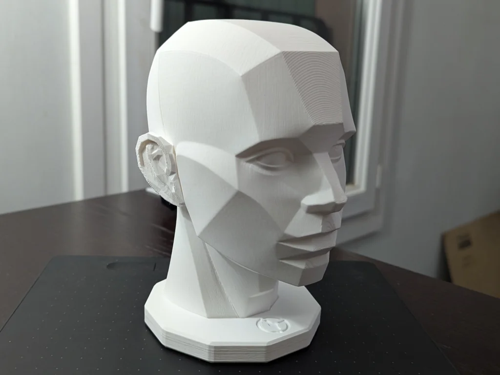 3D Модель Головы Asaro для Печати