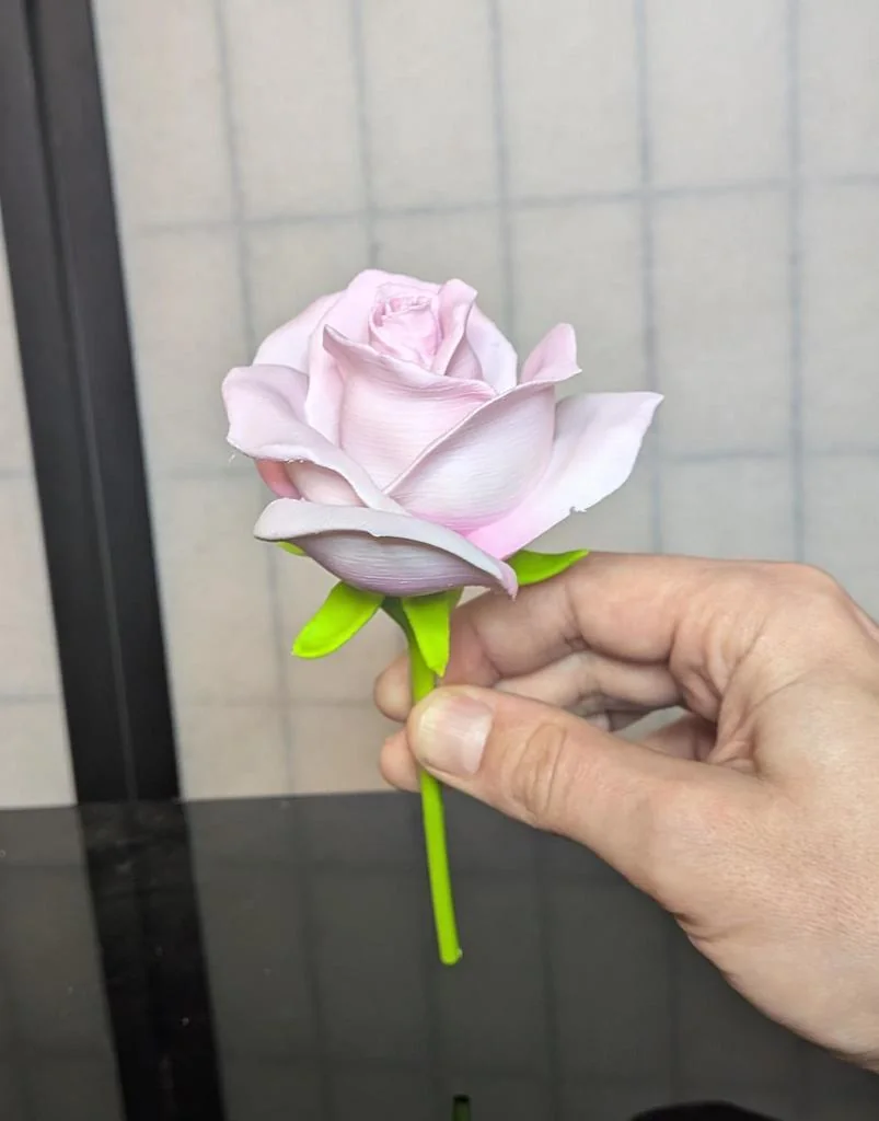 Модель: Rosa, sp. (Домашняя Роза)