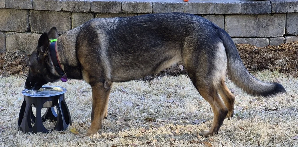 Подставка для миски для собаки