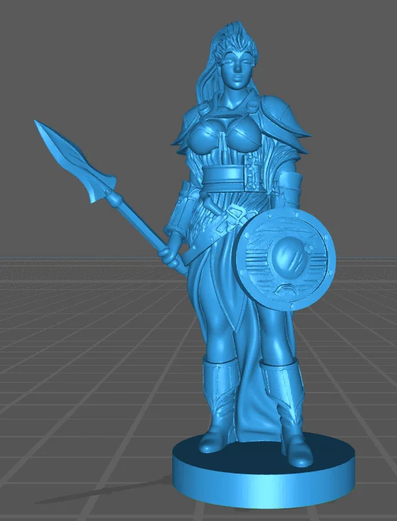 Женский боец с щитом